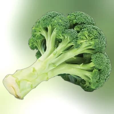 Broccoli