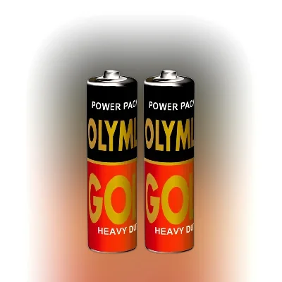 Olympic Gold Heavy Duty AA Battery