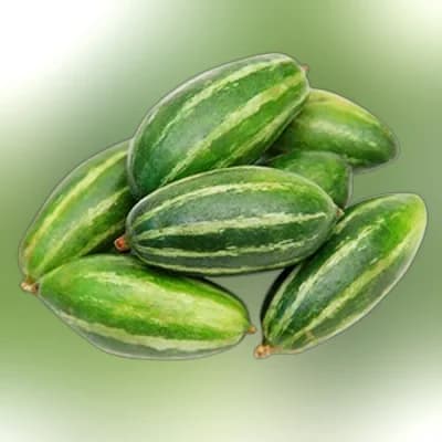 Potol (Pointed Gourd) ± 25 gm