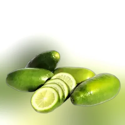 Lomba Lebu (Long Lemon)