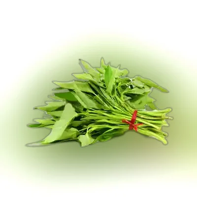 Kolmi Shak (Water Spinach)