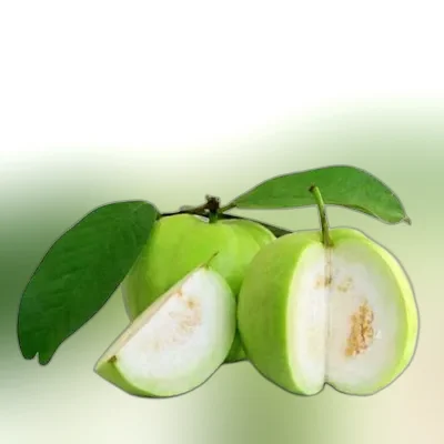 Guava Premium (± 50 gm)