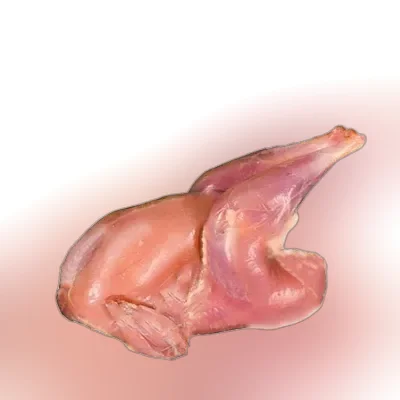 Cock Chicken Skin Off ± 25 gm