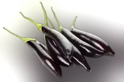 Lomba Kalo Begun (Long Brinjal Black) ± 25 gm