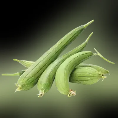 Dhundhul (Sponge Gourd) ±20 gm