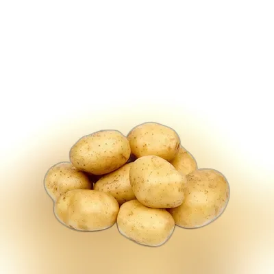 Potato Regular (± 25 gm)