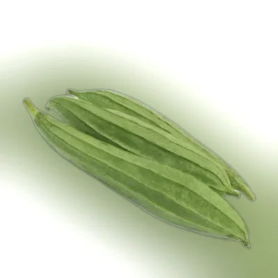 Jhinga (Ridge Gourd) ±20 gm