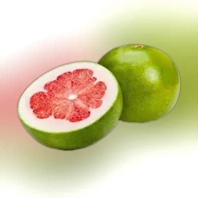 Jambura (Pomelo)
