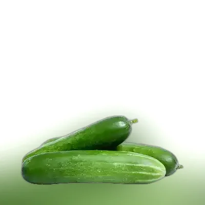 Curry Cucumber ± 25 gm