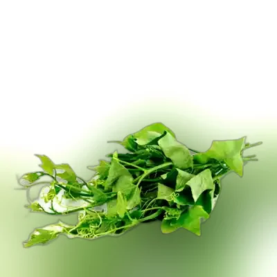 Lau Shak (Sweet Bitter Melon Leaves)