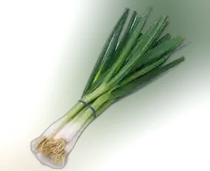 Peyaj Pata (Spring Onion) ± 12 gm