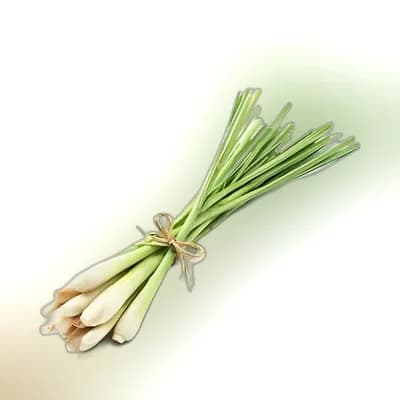 Lemon Grass Stalk ± 12 gm