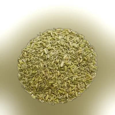 Fennel (Mouri)
