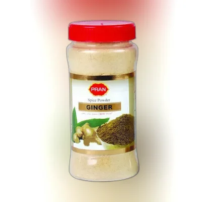 Pran Ginger (Ada) Powder