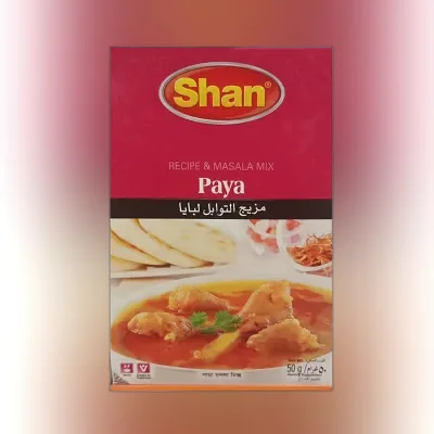 Shan Paya Curry Mix
