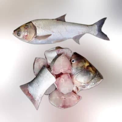 Silver Carp Fish After Cutting ±50 gm