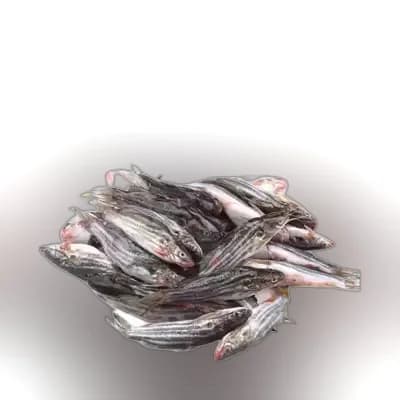 Tengra Fish Deshi ±20 gm