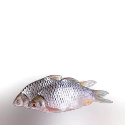 Deshi Sarputi Fish ±30 gm
