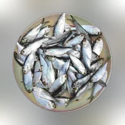 PQS Chapila Fish Processed