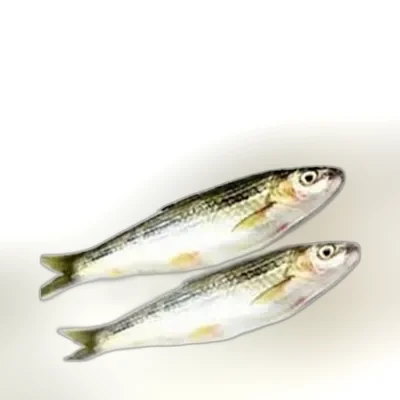 Tatkini Fish ±30 gm