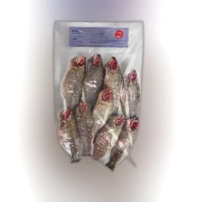 Globe Koi Fish Processed ± 50 gm