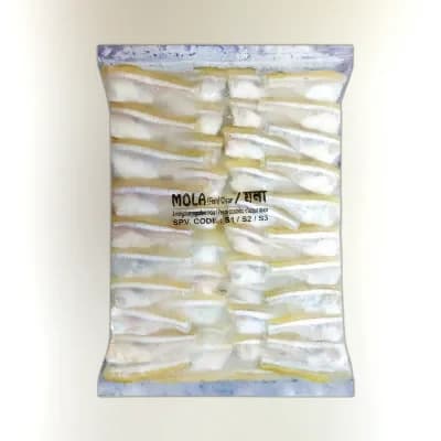 PQS Halda Hawor Mola Block Fish Processed