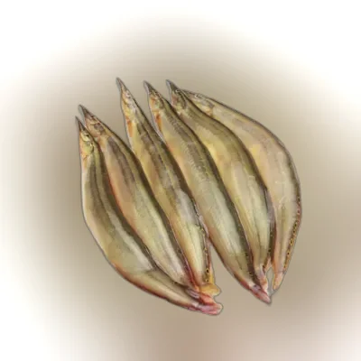 PQS Chikra Baim Fish Processed