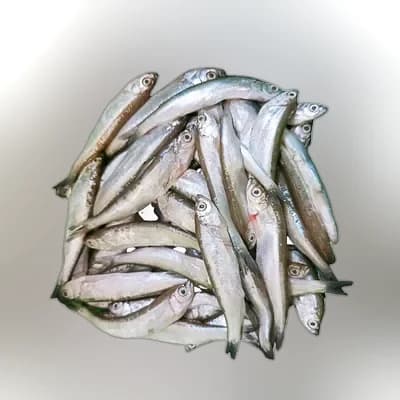 PQS Chela Pata Fish Processed