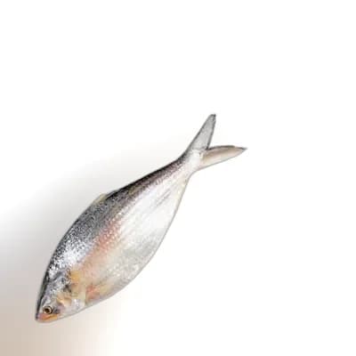 Whole Hilsha Fish (Asto Ilish) ± 50 gm